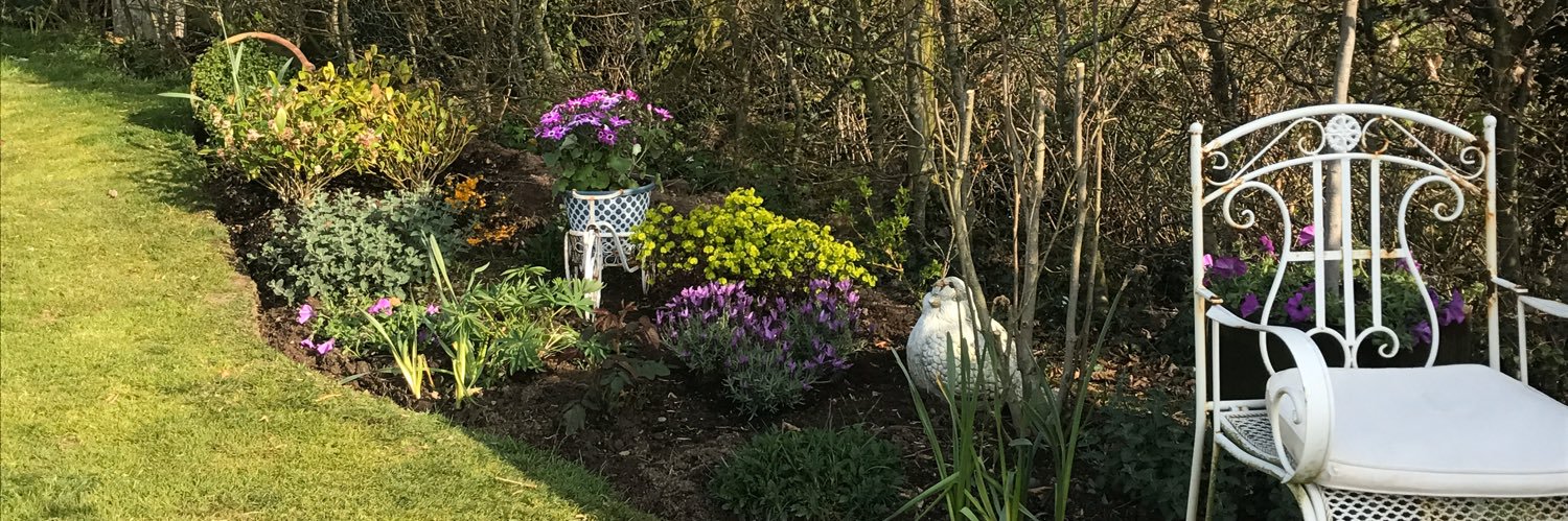 judy_uk's profile banner image