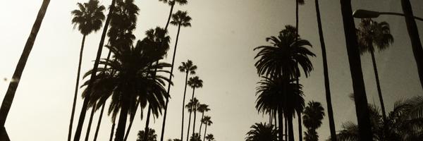 e_lang22 Profile Banner