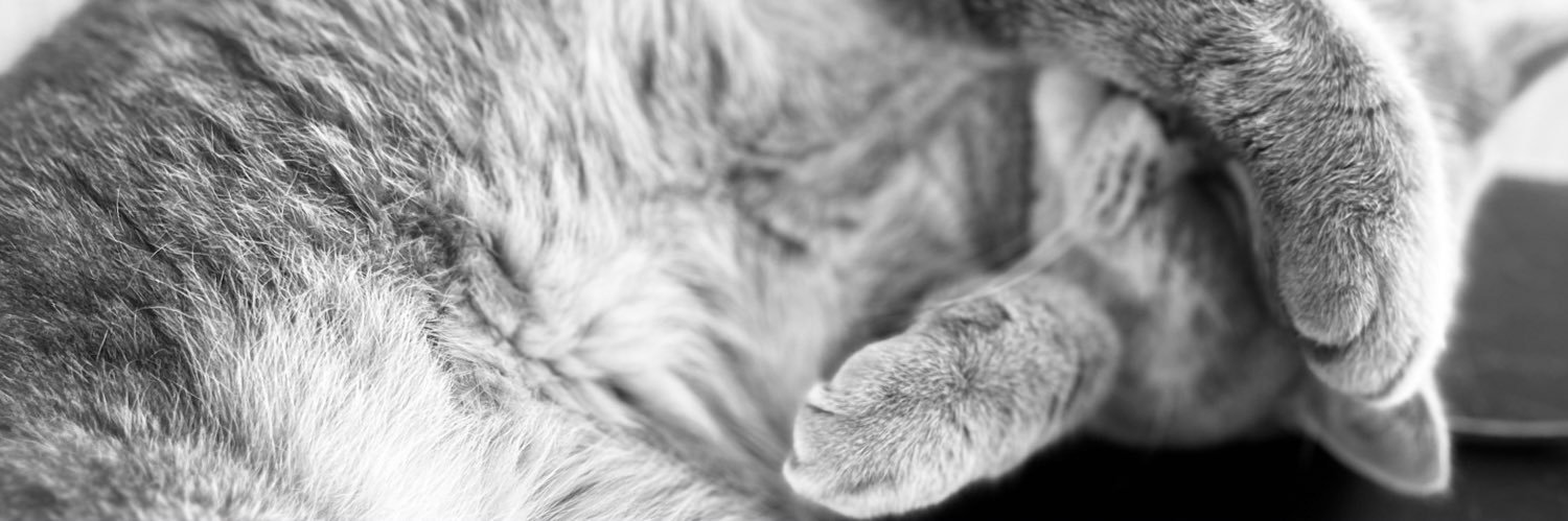 mindchallenges_'s profile banner image