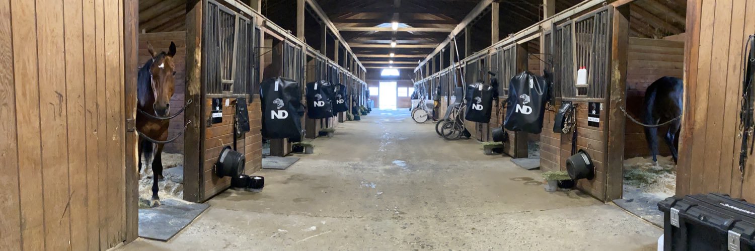 Nicole DiCostanzo banner