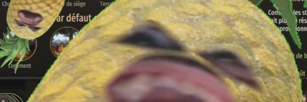 pikach44 Profile Banner