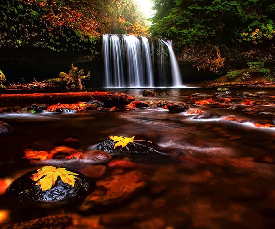abdalrahman771's profile banner image