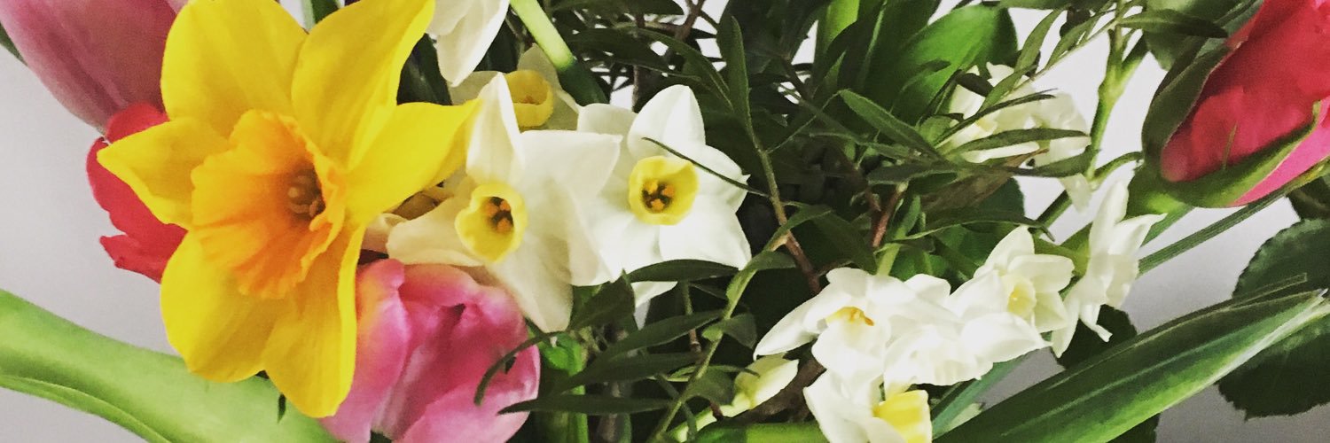 FfionPage1's profile banner image