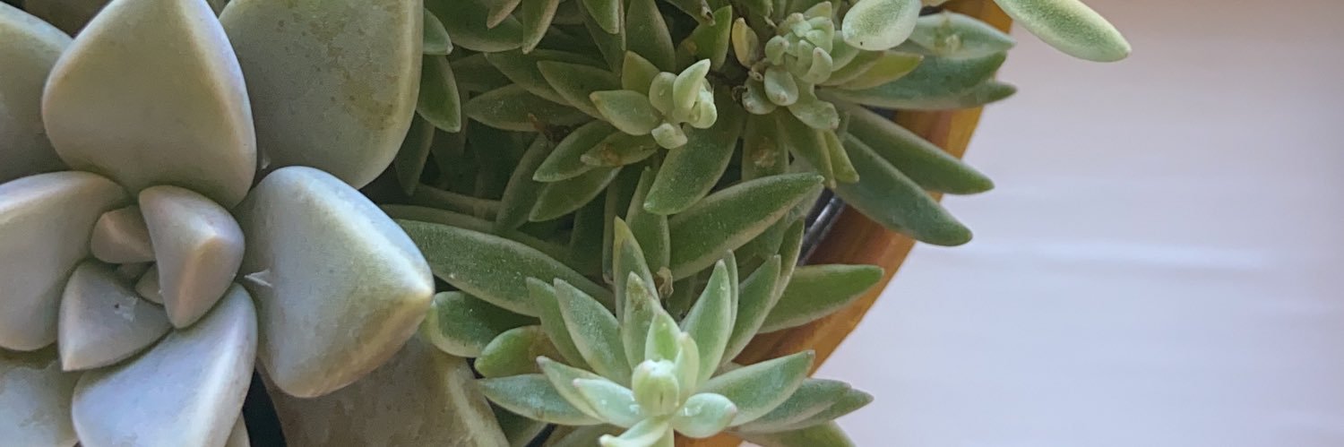 Haley_Teal's profile banner image