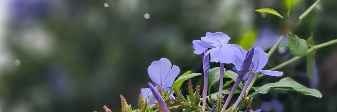 valvignaroli's profile banner image