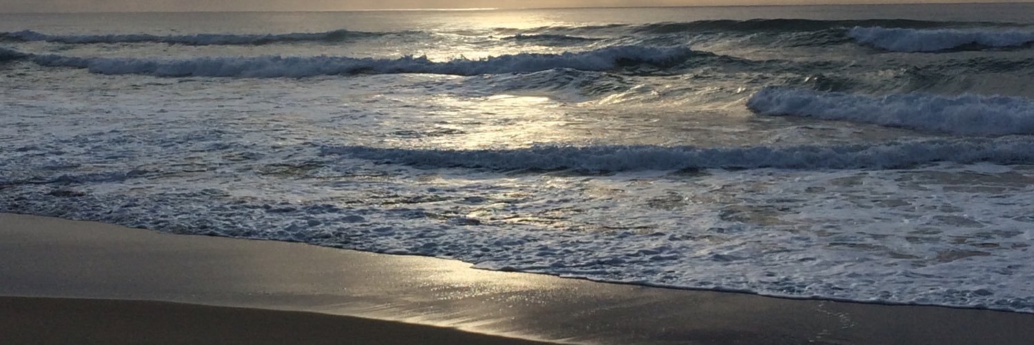 Riana Loggenberg banner