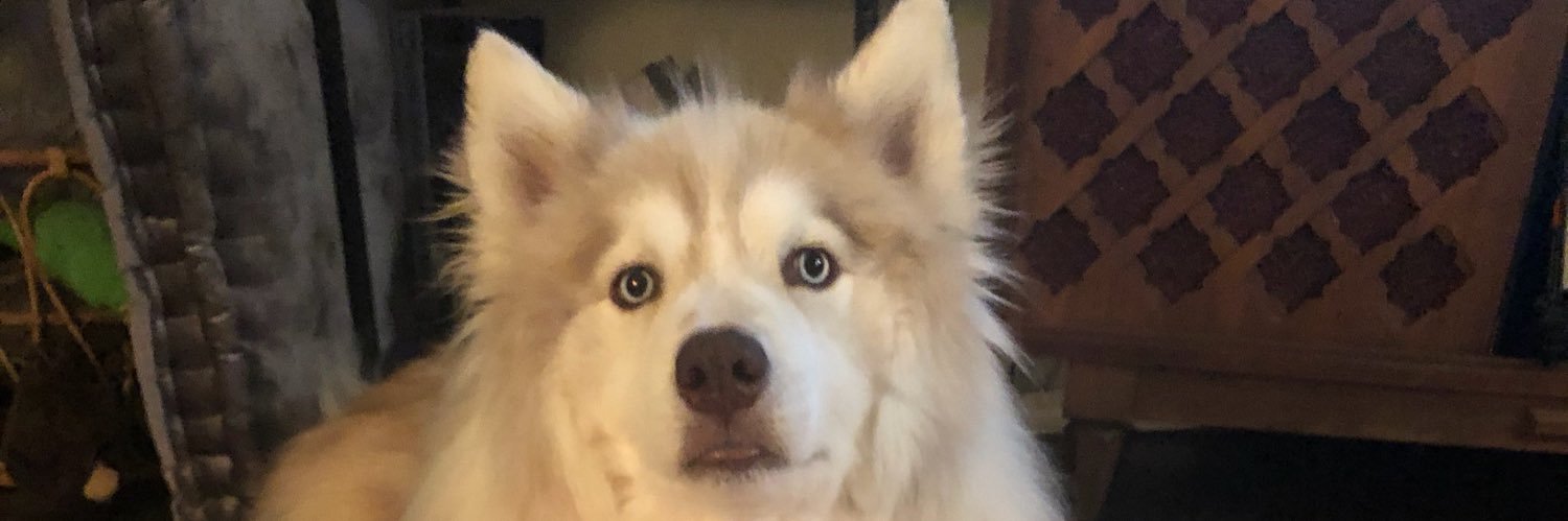 Tyler_Hudson_96's profile banner image