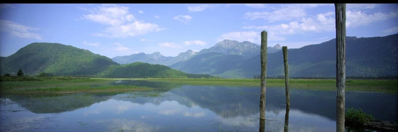 FloodplainMovie's profile banner image