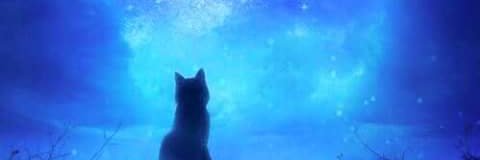FedericoGFdz's profile banner image
