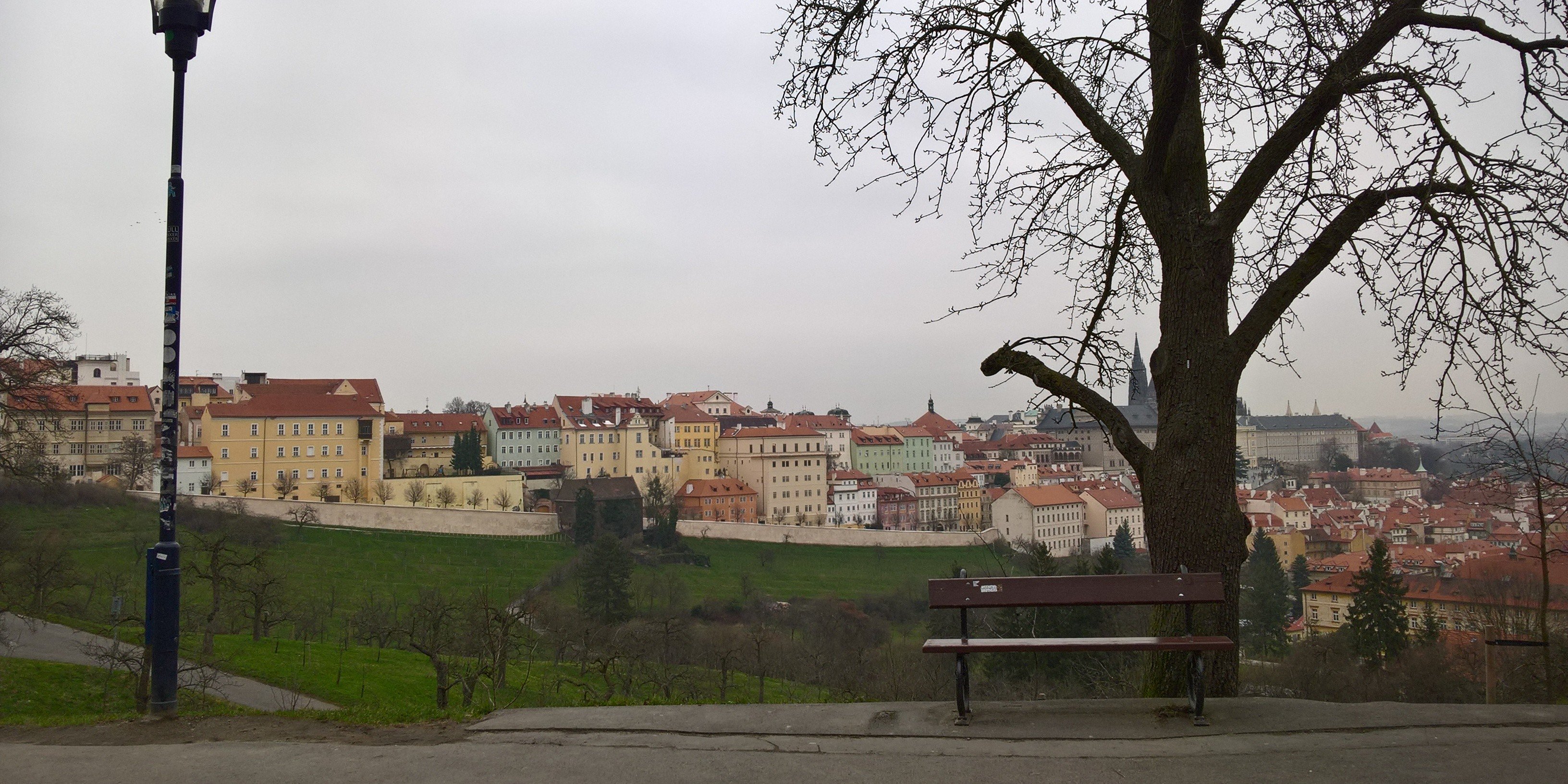 Deithwein's profile banner image