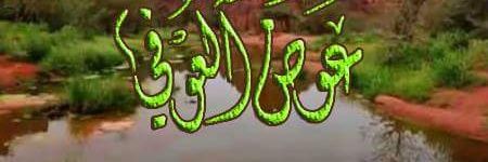 _alofee's profile banner image