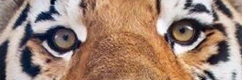 marquel_dawn's profile banner image