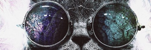 deborahdesousa's profile banner image