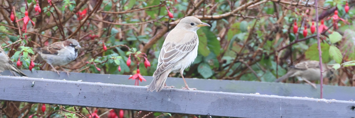 Christopher Teague banner