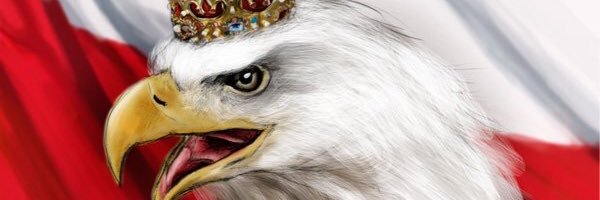 romansiere's profile banner image