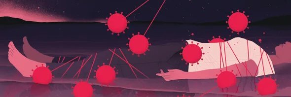 Stephani Sutherland banner