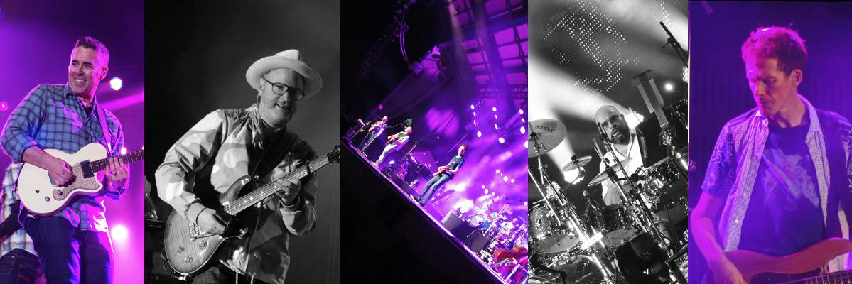BNL_Fans's profile banner image