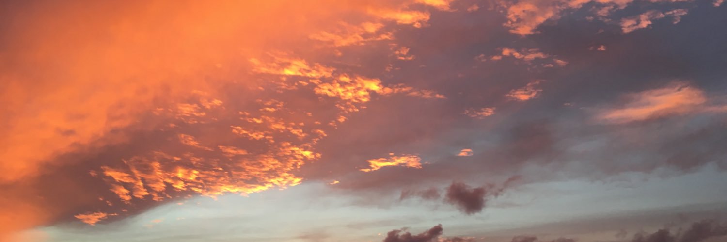 emily rundle banner