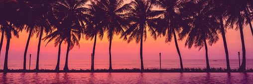 t_maloy's profile banner image
