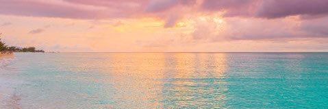 nevesmis's profile banner image