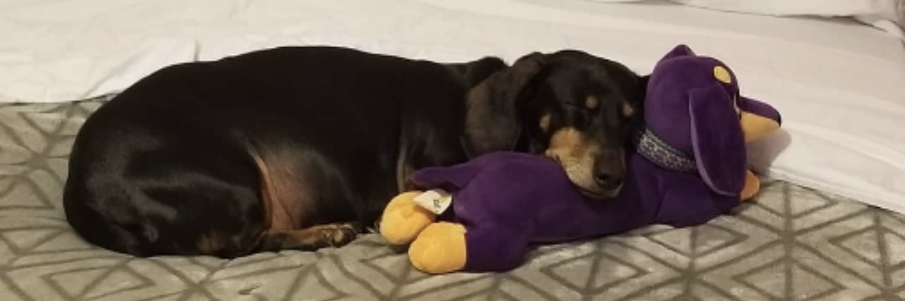 beezybmw's profile banner image