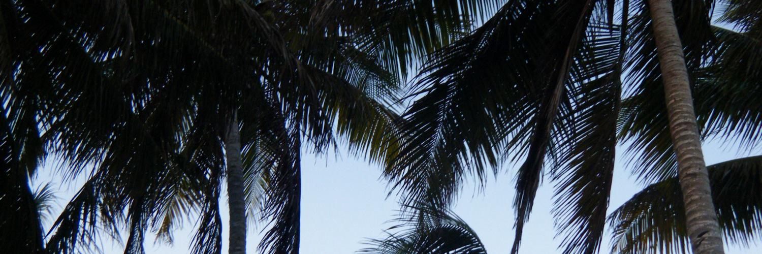 megwilkinson_'s profile banner image