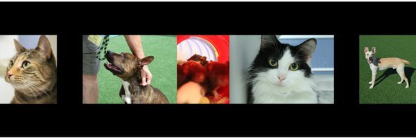HHHSTopeka Profile Banner