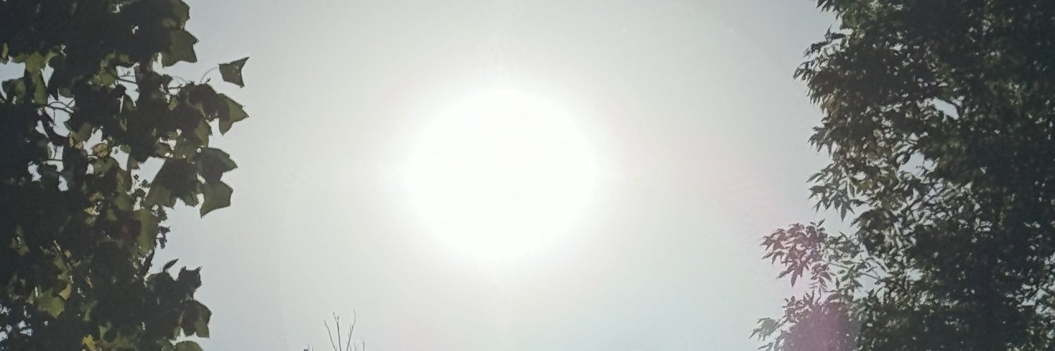KDRose1's profile banner image