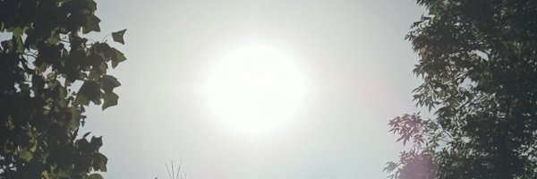 KDRose1 Profile Banner