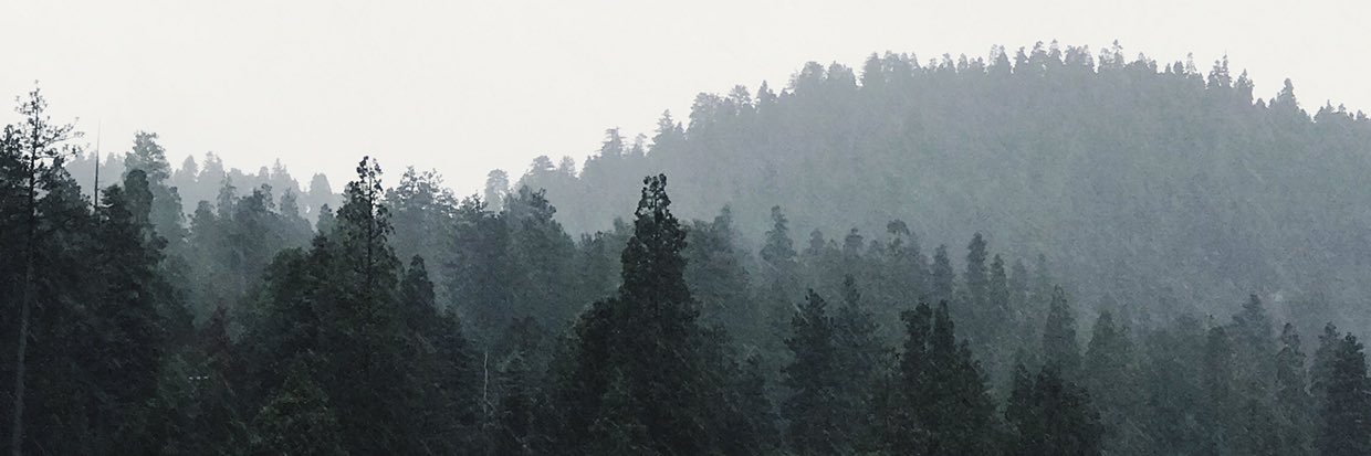 BW_Erickson's profile banner image