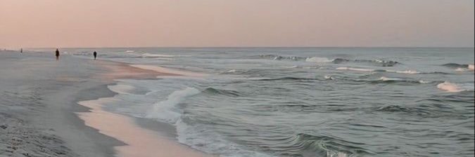 leydigpc's profile banner image