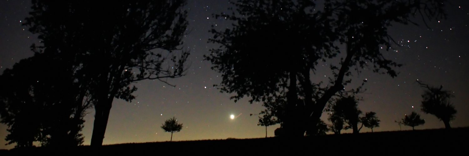 RSchaffert's profile banner image