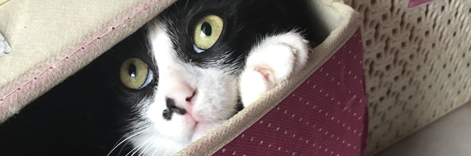 ummuhansever's profile banner image
