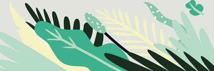 Laura Pittaccio banner