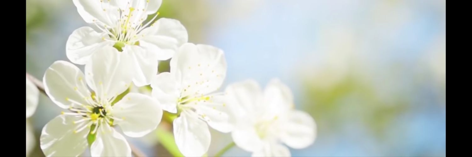 _AlinaRojas's profile banner image