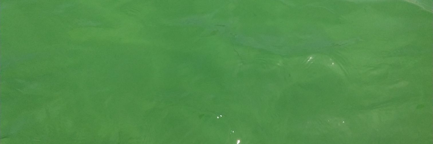 Nilo Nogueira 🖤💛🤍 banner