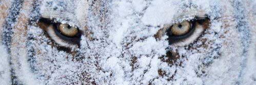 DorianHouot's profile banner image