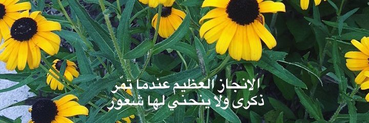 Nona0267's profile banner image