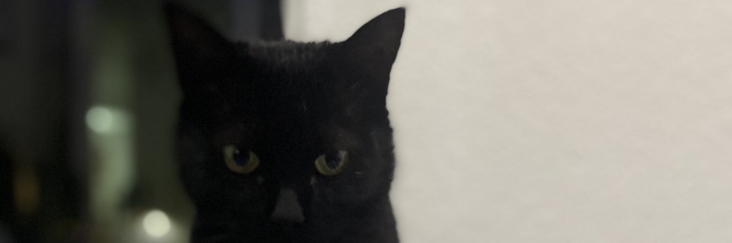 JohnnyGmz's profile banner image