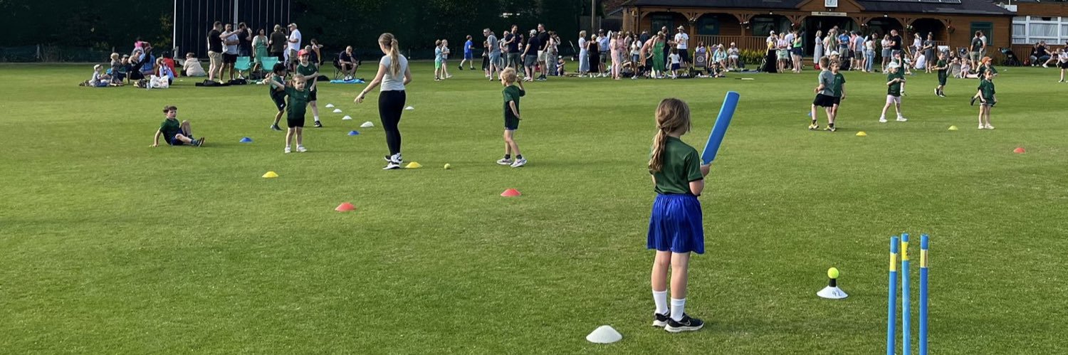 Mini Crickets 🏏 banner