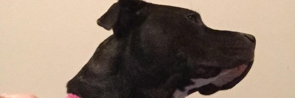 aumoseley's profile banner image