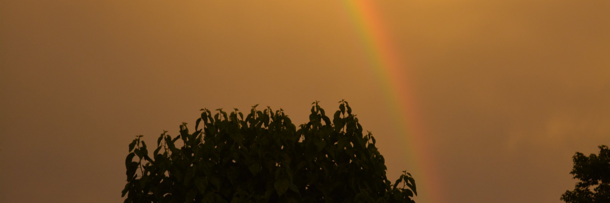 ___Carola____'s profile banner image