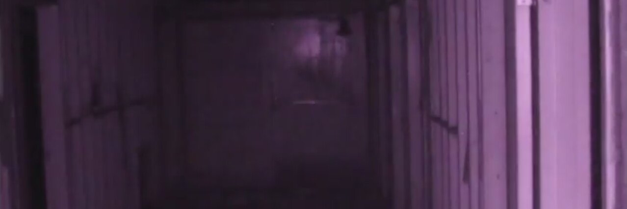 ☠ Ghost Trippin ☠ banner