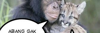dedevael1's profile banner image