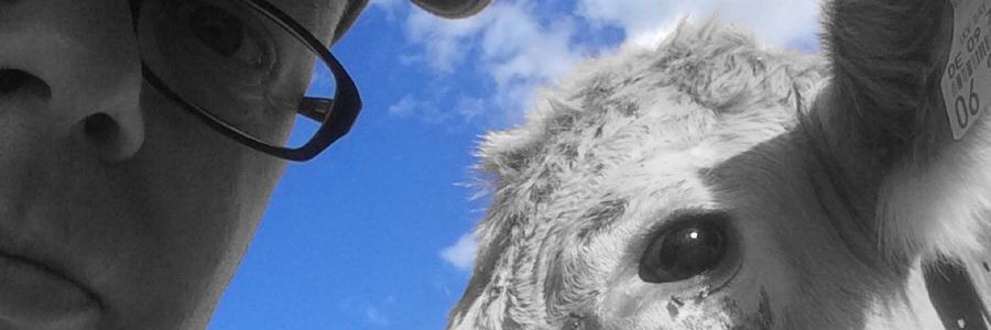 Lenginho's profile banner image
