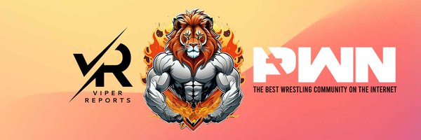 ViperReports Profile Banner