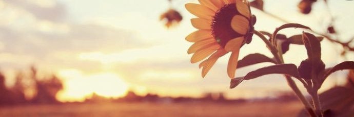 Be_au_tiful_'s profile banner image