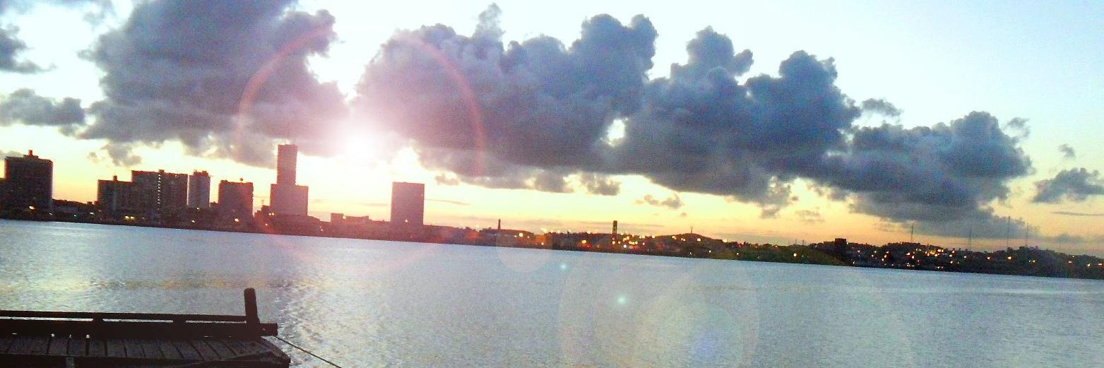 laiismello's profile banner image