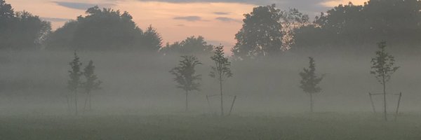 _reneeV Profile Banner