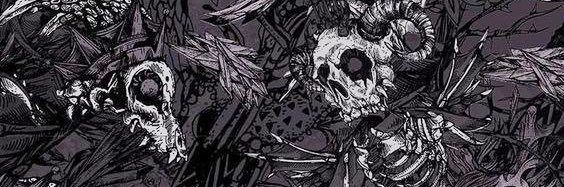 liautenant's profile banner image